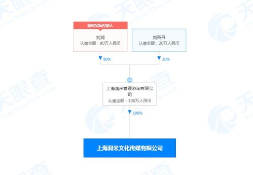 潤米咨詢戰(zhàn)略布局新篇章 設(shè)立文化傳媒公司，注冊資本100萬，深化社會經(jīng)濟咨詢服務(wù)生態(tài)